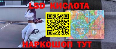 apvp Гусев