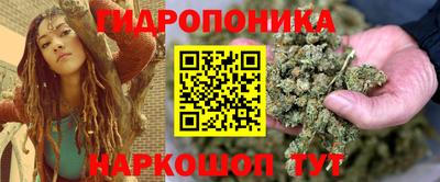 apvp Гусев
