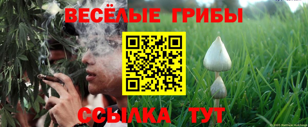 где купить наркоту  Галлюциногенные грибы мицелий  Вход с VPN  Малоярославец 