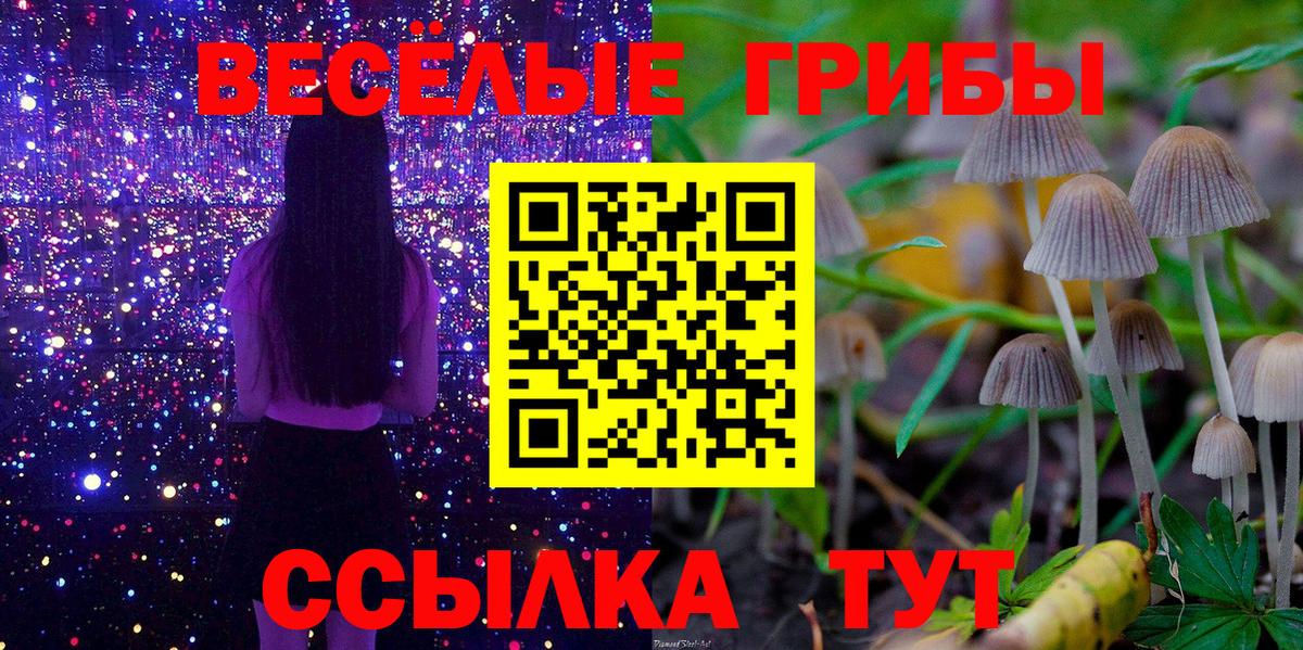Галлюциногенные грибы мухоморы Малоярославец